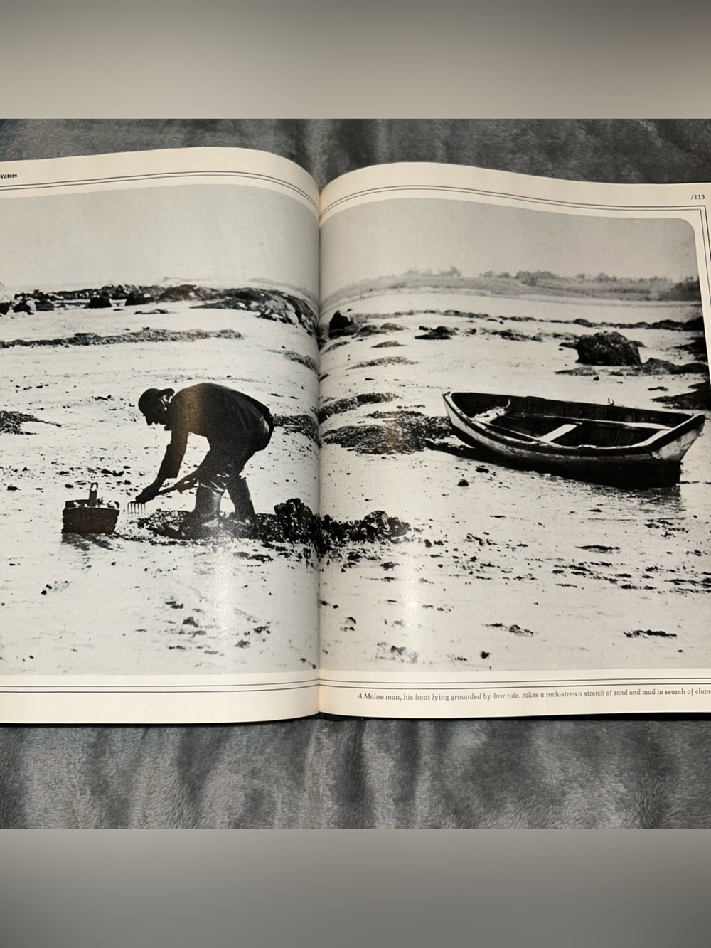 Time Life Books The Northeast Coast American Wilderness 1973 Vintage Hardcover - Picture 10 of 15